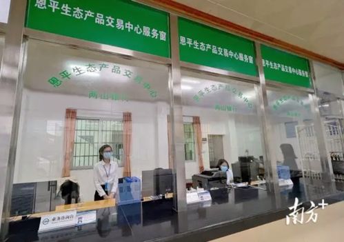 綠水青山變金山銀山 恩平生態產品交易中心成立，家政服務助力生態價值轉化